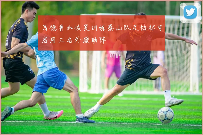马德鲁加恢复训练泰山队足协杯可启用三名外援助阵