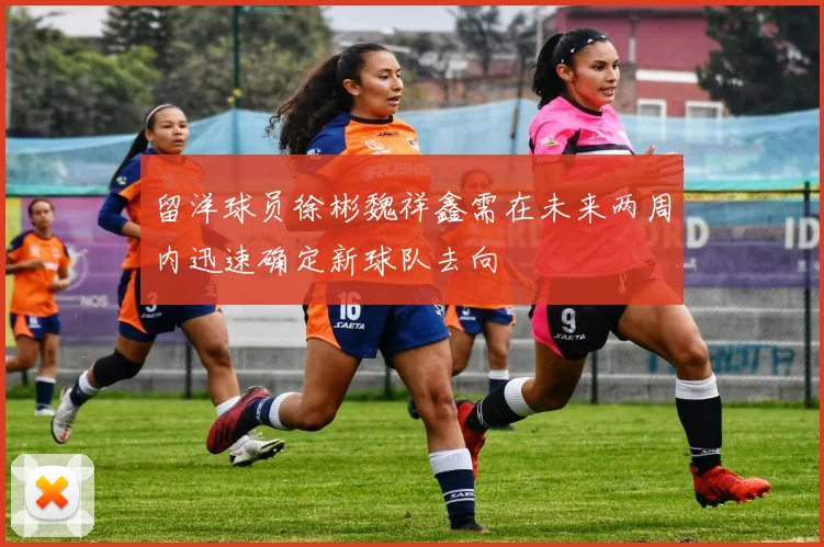 留洋球员徐彬魏祥鑫需在未来两周内迅速确定新球队去向
